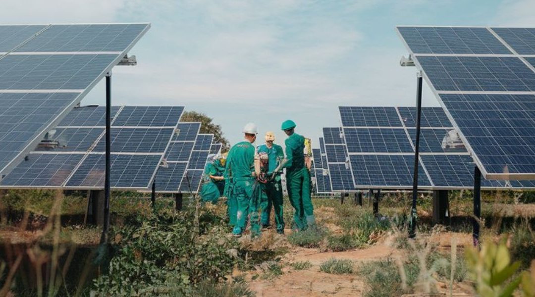 Construyendo un Impacto Ambiental Positivo: Soluciones Sostenibles para Empresas y Comunidades