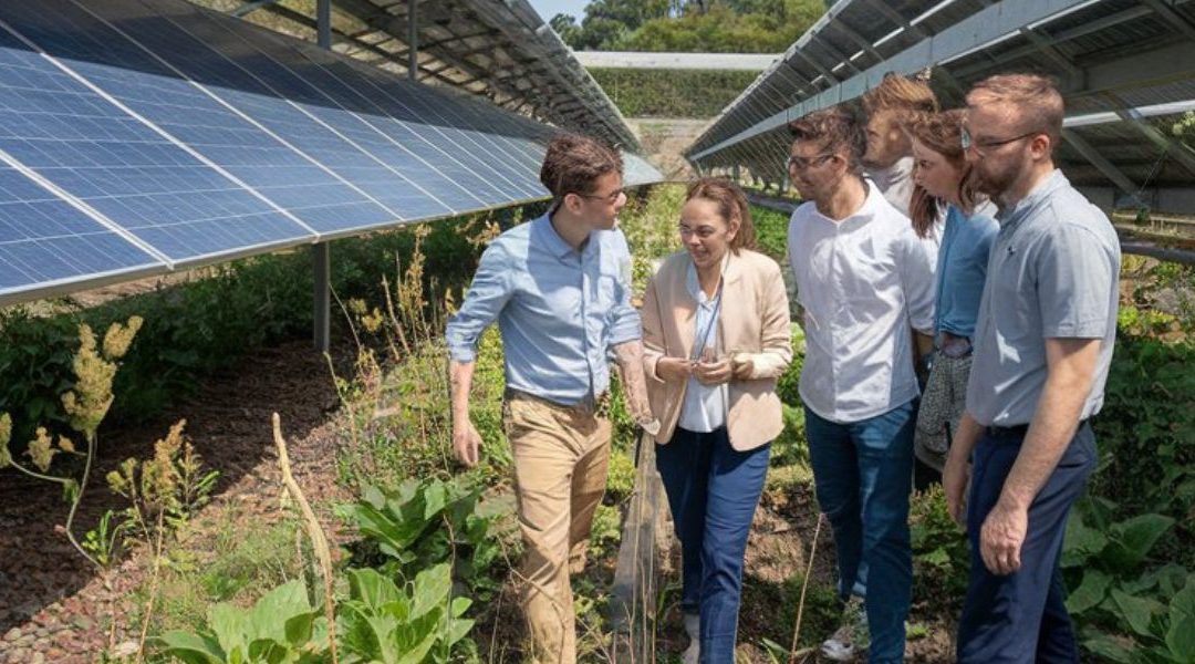 Transformando el Futuro: La Importancia de las Soluciones Ambientales en las Empresas